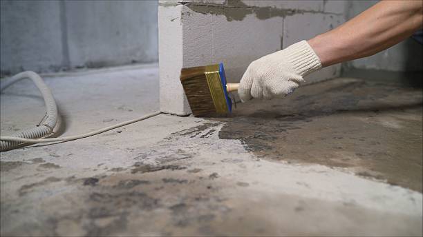 Top rated local Crawl Space Encapsulation specialists in Ballville, OH